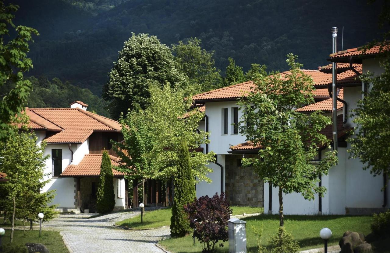 Volpe - Volpe Oreshak (Lovech)